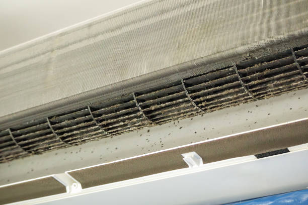 Best Affordable Air Duct Cleaning  in Mcadenville, NC